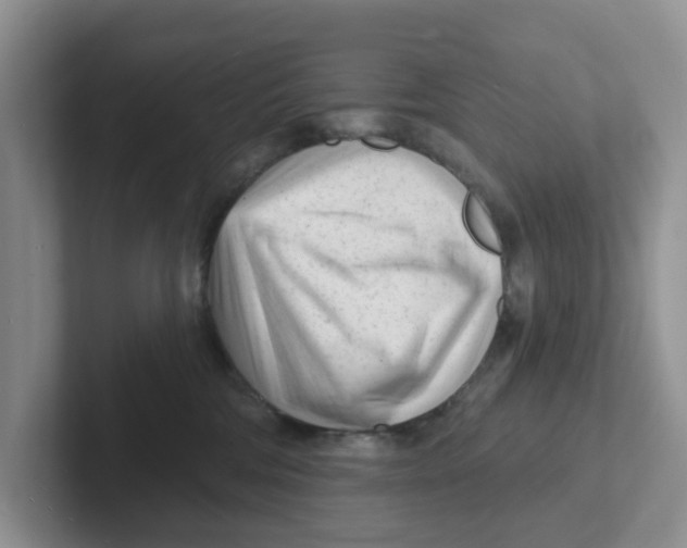 X0000101700330200807311437
