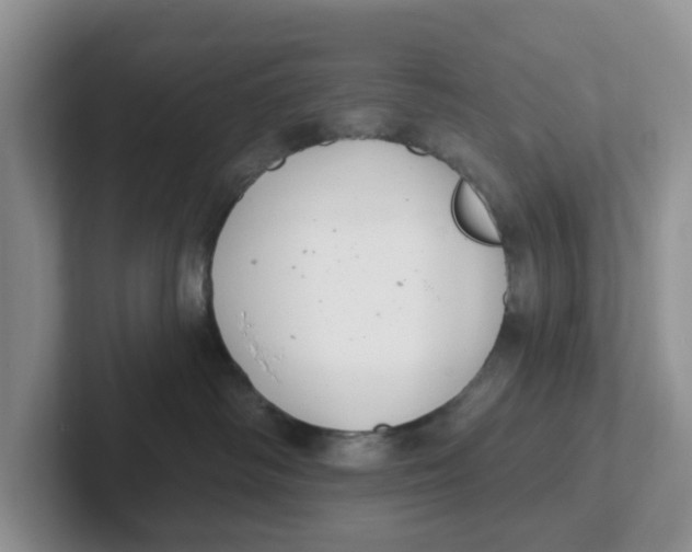 X0000101700334200807311437