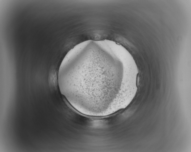 X0000101700336200807311437