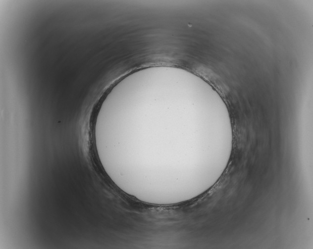 X0000101700338200807311436