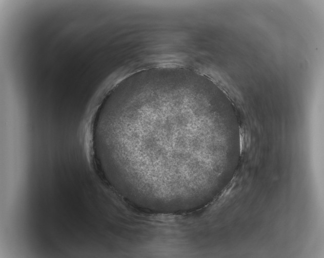 X0000101700339200807311436