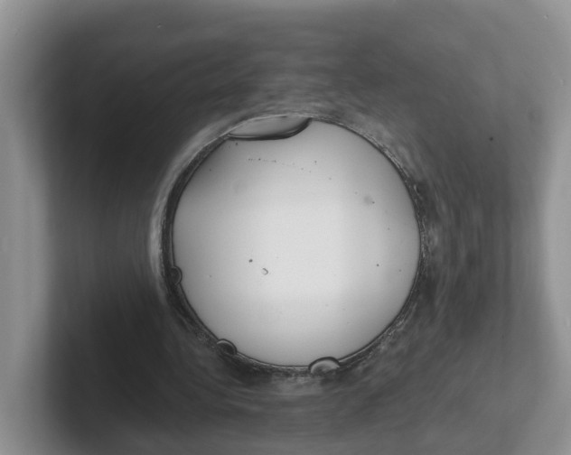 X0000101700340200807311436