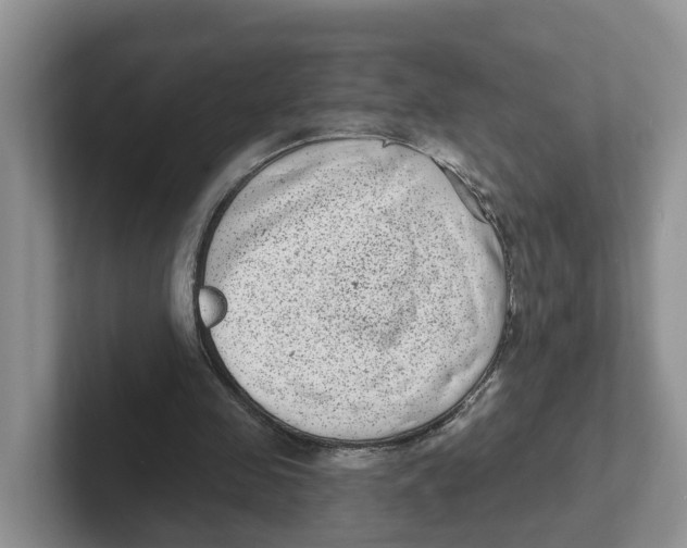 X0000101700341200807311436