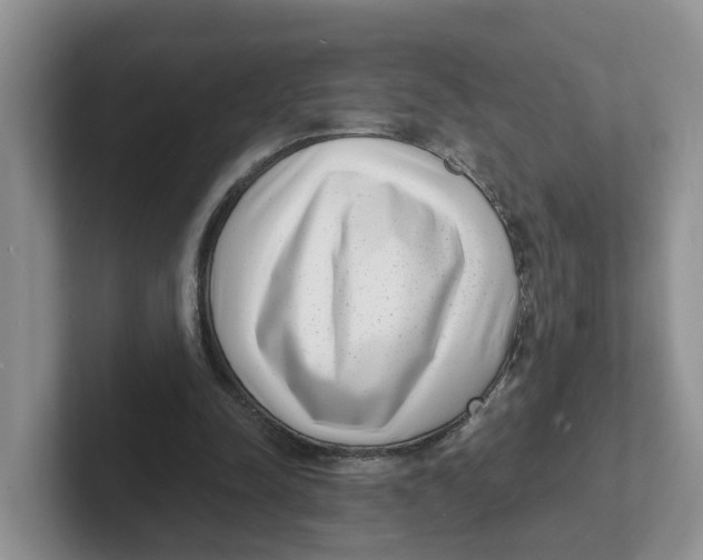 X0000101700342200807311436