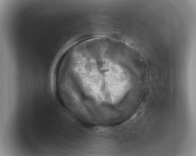 X0000101700343200807311436