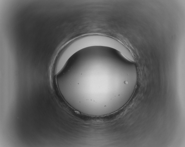 X0000101700344200807311436