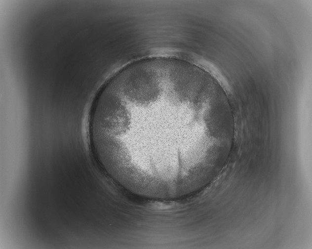 X0000101700346200807311436