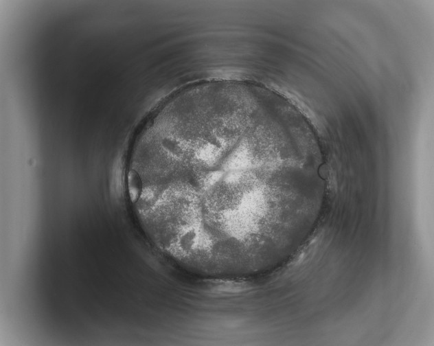 X0000101700347200807311436
