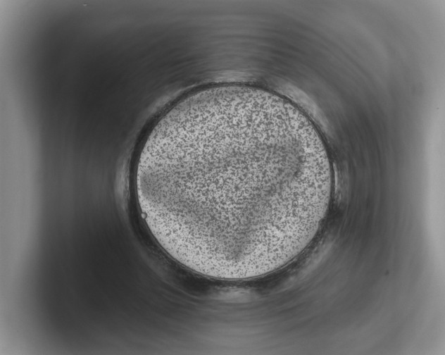 X0000101700348200807311436