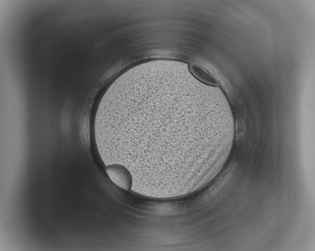 X0000101700349200807311436