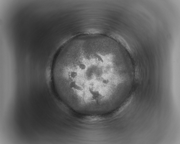 X0000101700351200807311436