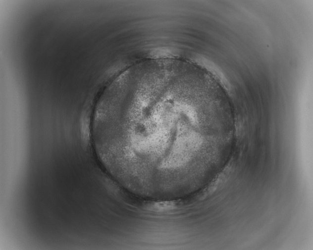 X0000101700353200807311436
