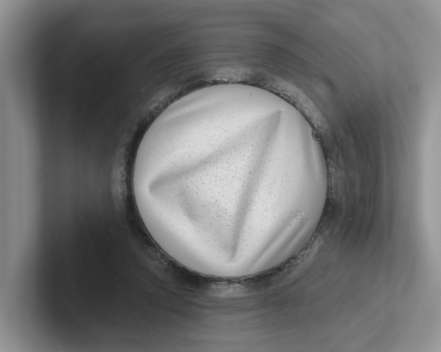X0000101700354200807311436