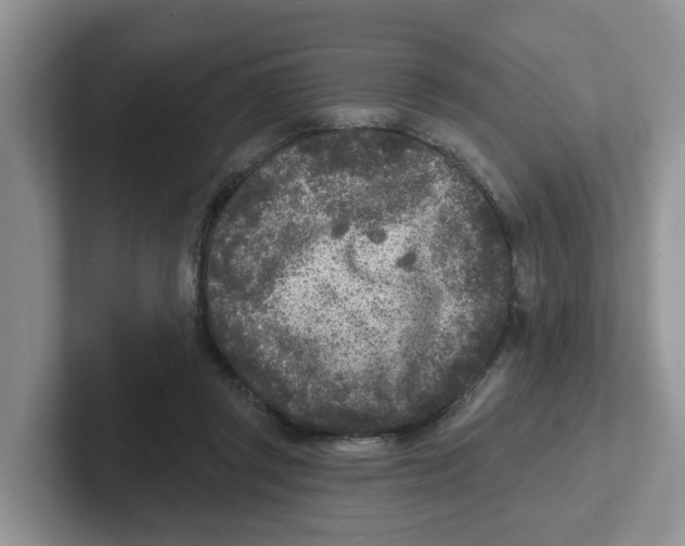 X0000101700357200807311436