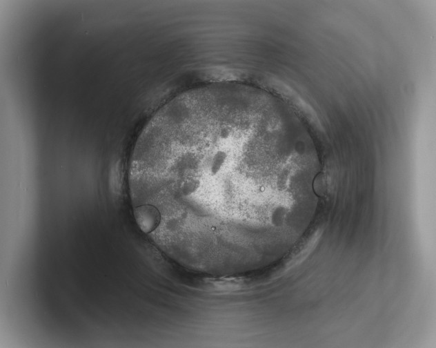 X0000101700359200807311436