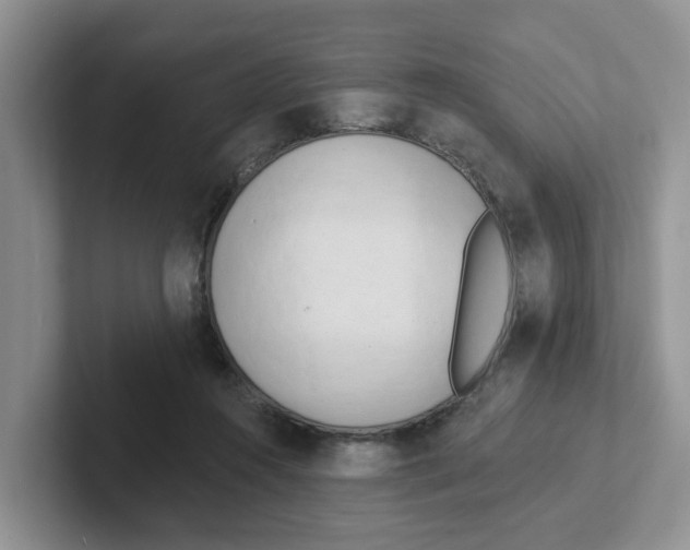 X0000101700360200807311436
