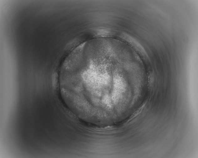 X0000101700361200807311436