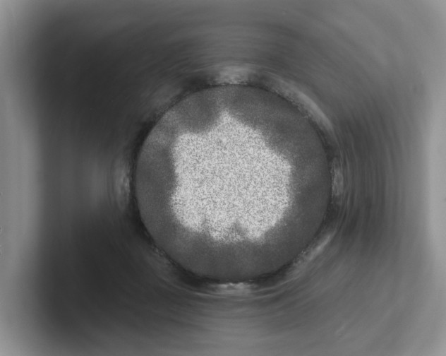 X0000101700363200807311436
