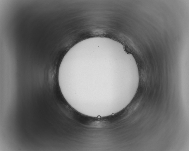 X0000101700364200807311436