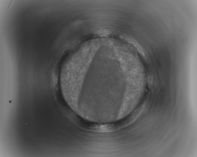 X0000101700365200807311436