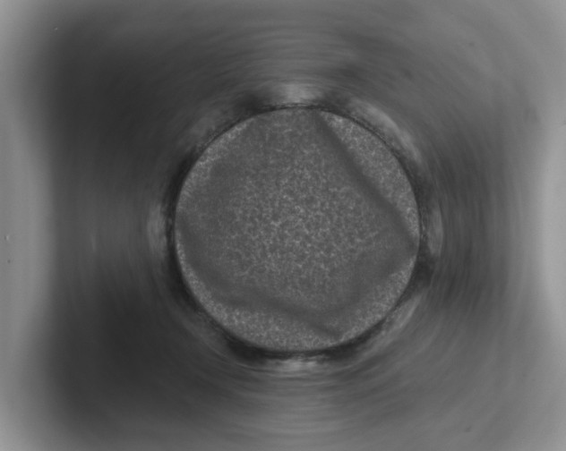 X0000101700366200807311436