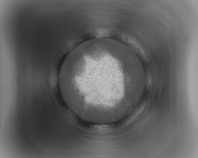 X0000101700367200807311436