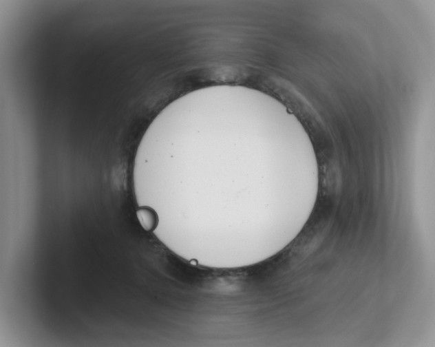 X0000101700368200807311436