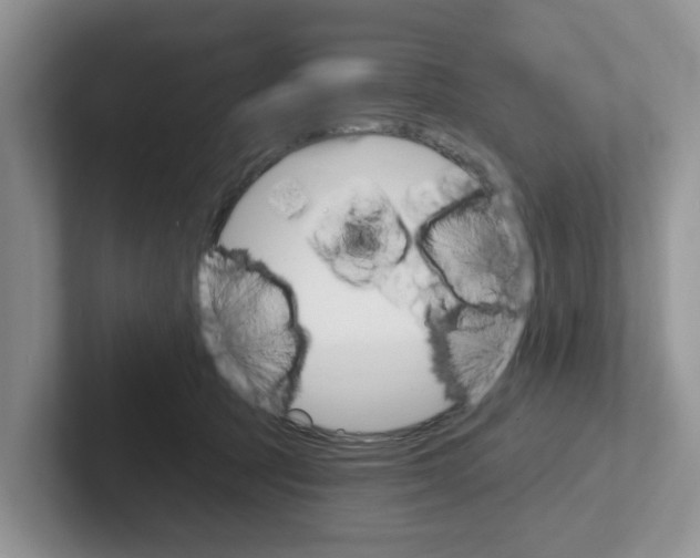 X0000101700369200807311436