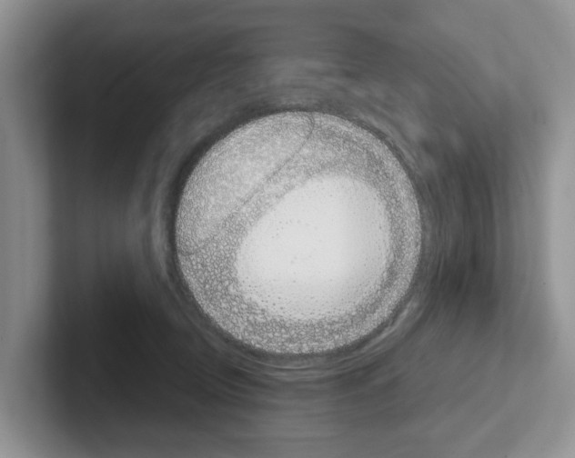 X0000101700370200807311436