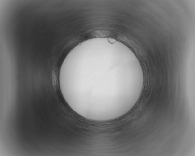 X0000101700371200807311436