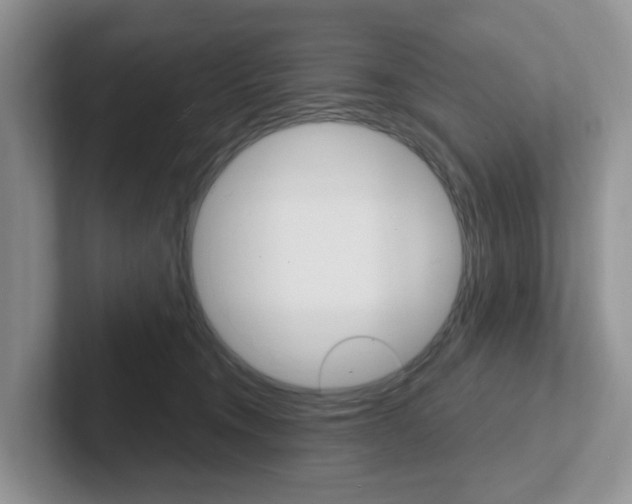 X0000101700372200807311436