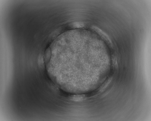 X0000101700373200807311436