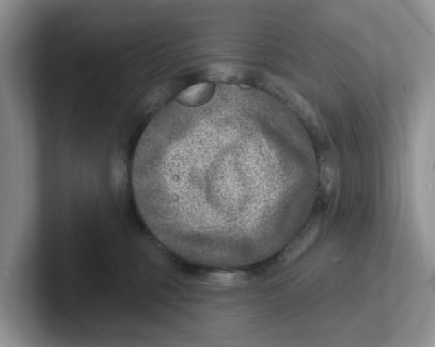 X0000101700375200807311436