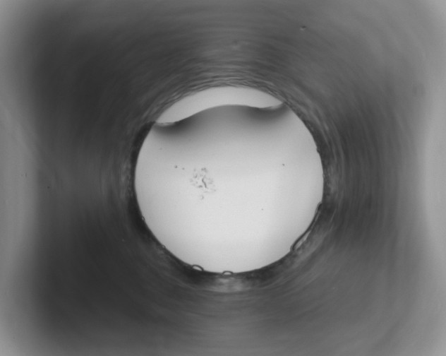 X0000101700376200807311437