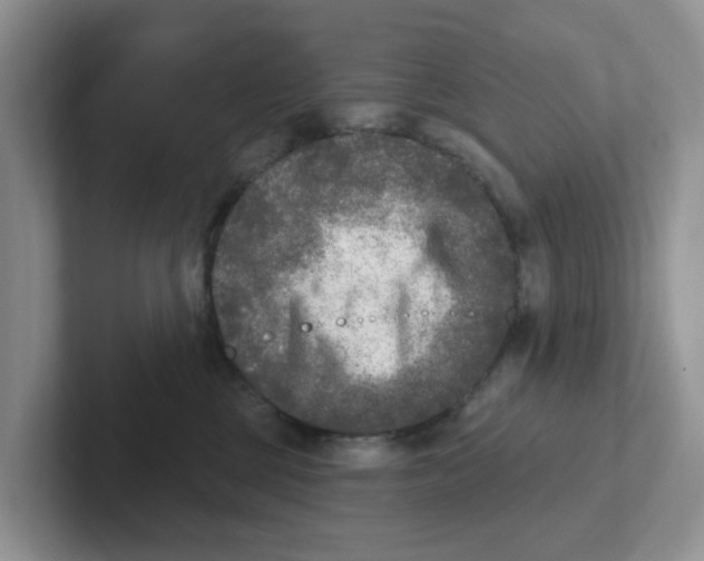 X0000101700377200807311437