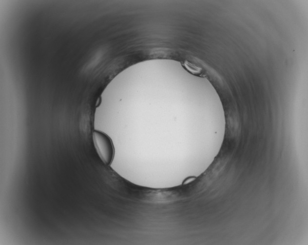 X0000101700379200807311437