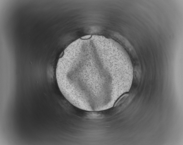 X0000101700380200807311437