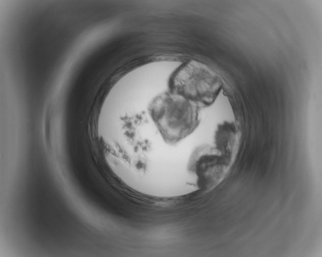 X0000101700381200807311437