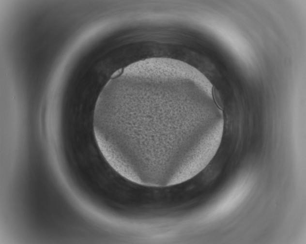 X0000101700383200807311437