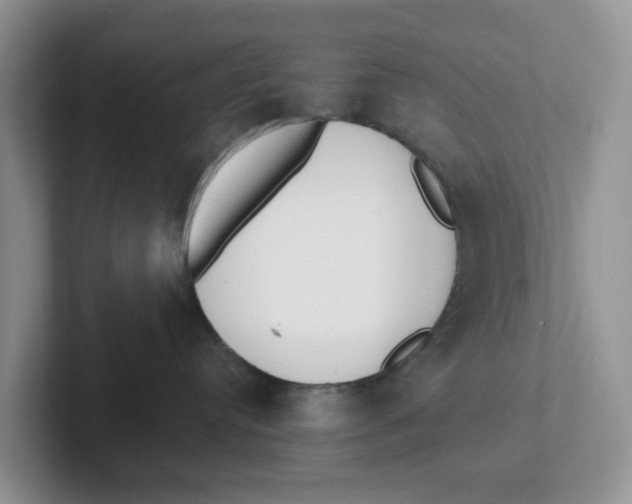 X0000101700384200807311437