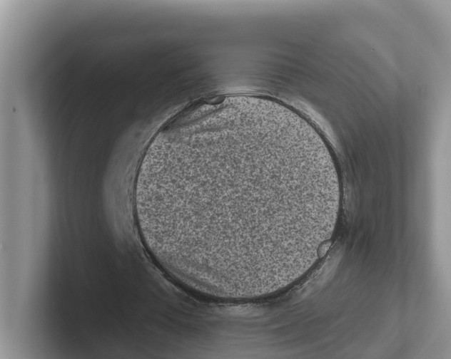 X0000101700385200807311436