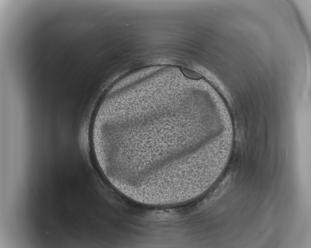 X0000101700386200807311436