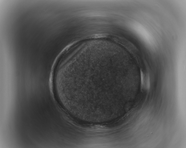 X0000101700387200807311436