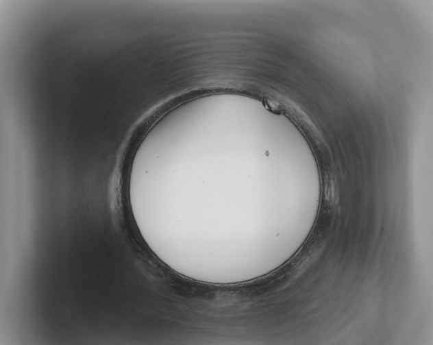 X0000101700388200807311436