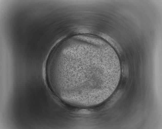 X0000101700390200807311436