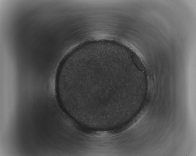 X0000101700391200807311436