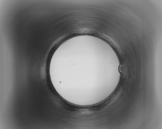 X0000101700392200807311436