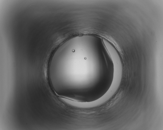 X0000101700393200807311436