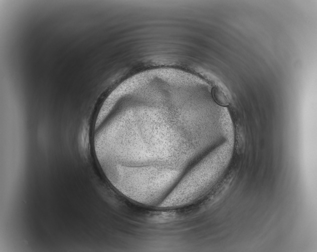 X0000101700398200807311436