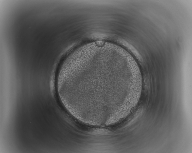 X0000101700399200807311436